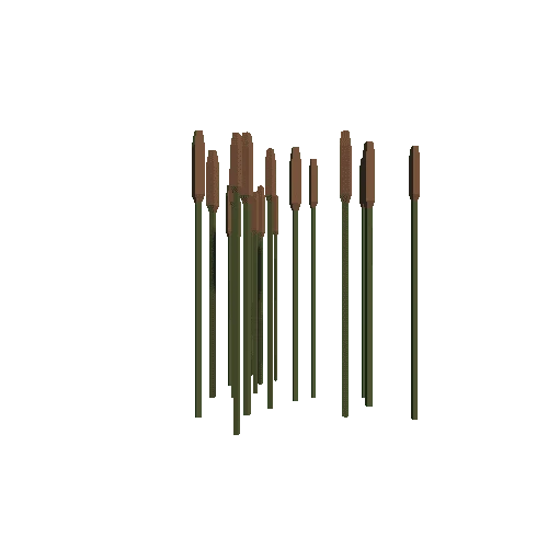 Reed Multi Variant